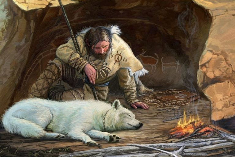 História da domesticação: Desde os primeiros lobos domesticados até a criação de gatos e cães de raça
